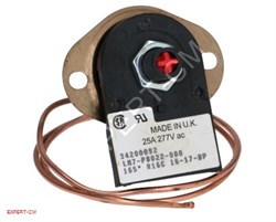 Термостат RANCILIO/PROMAC 165dС, 1х полюс, 16А , датчик d2мм L49 5111042 - фото 12635