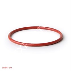 Кольцо уплотнительное бойлера кофеварки Gagia Baby, Classic, Evolution 5109008 - фото 12636