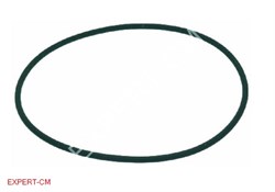 Уплотнительное кольцо OR 03300 витон 5109416 - фото 13686