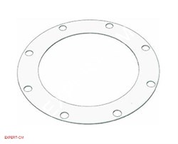Уплотнитель крышки бойлера Rancilio (тефлон) dd175, 123мм h2мм, 8отв. 5109421 - фото 20046