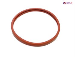 Уплотнитель рожка кофеварки SAECO/GAGGIA/PAVONI 5802041 - фото 21758