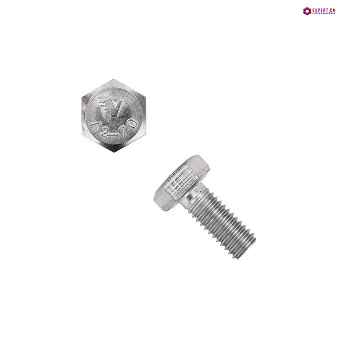 Винт в группу для сеточки M5x12 RANCILIO PROMAC без шлица 5115067 - фото 34061