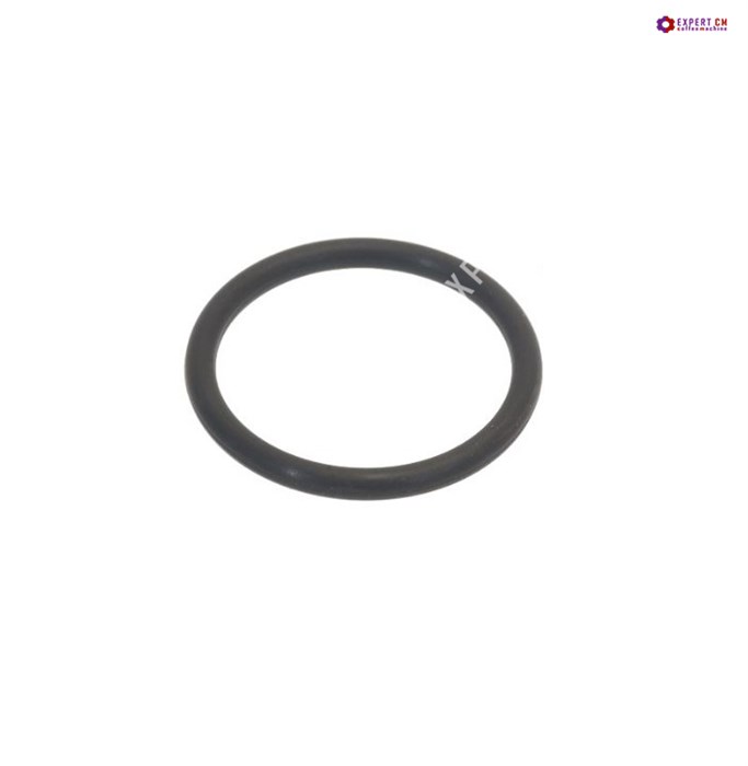 Кольцо уплотнительное поршня 36211816 BIANCHI OR 04112*** 6115006 - фото 36756