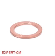 Уплотнитель плоский (медь) dd24х21мм h1мм 5109455