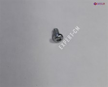 Винт М3х6 10290153