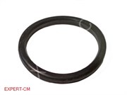 Кольцо уплотнительное группы PAVONI EUROPICCOLA 5109429