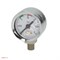 Манометр d42мм Elektra 0-3бар 1/8" серебро 5110060 - фото 20963