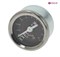 Манометр SANREMO d41мм 1х шкала 0-2,5 бар 1/8" 5110078 - фото 29641