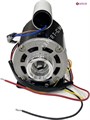 Электродвигатель (мотор для помпы кофемашины) 150Вт 230В 1.6А 50Гц 1350rpm 12µf 5105033 - фото 32854