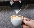 Питчер для молока BaristaGear 600мл, сталь 0,7мм*** 5117335 - фото 33686