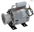 Электродвигатель RPM модель 11039002 (мотор помпы) для кофемашин Cimbali Faema 5105024 - фото 38614